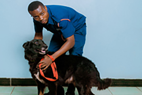 Dog Patrols & Handlers